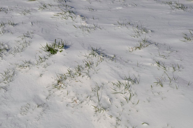 Velden onder de sneeuw in Bretagne