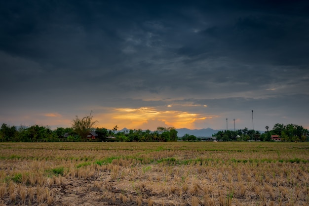Veldlandbouw en regenwolken met zonnestralen