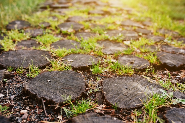 Vele stomp op tuinweg