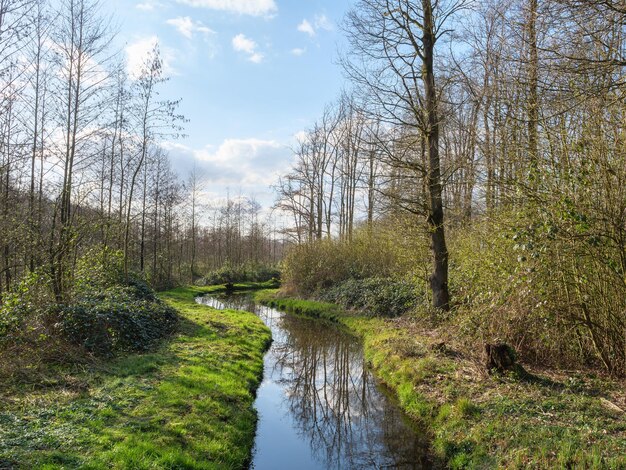 Photo velen city in westphalia