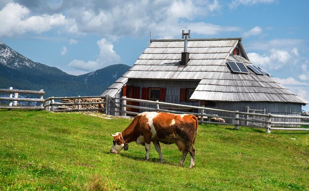 Velika Planina, Slovenia. Beautiful landscape in Slovenia. Famous places for vacation.