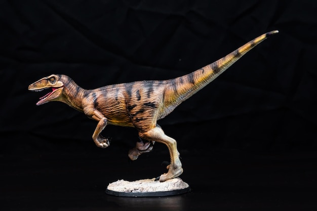 Foto il dinosauro velociraptor al buio