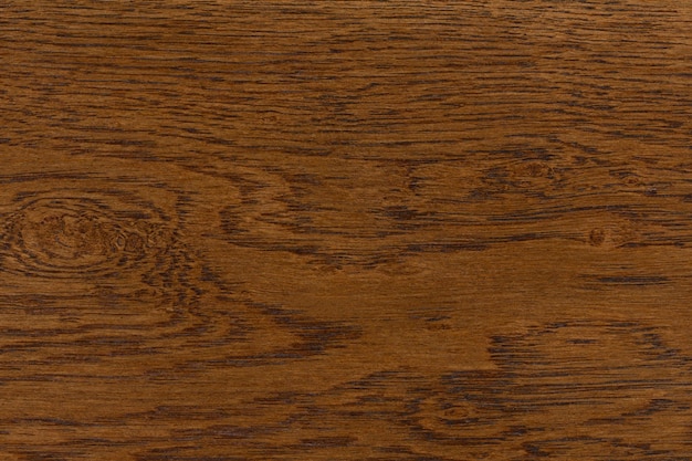 Veneer surface background Wood texture Hi res photo