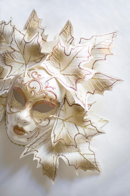 Venetiaanse carnaval masker