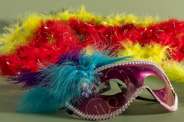 Venetian carnival mask with feathers and typical elements in the background