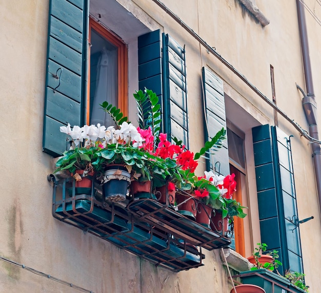 Venster met bloemen in Venetië, Italië