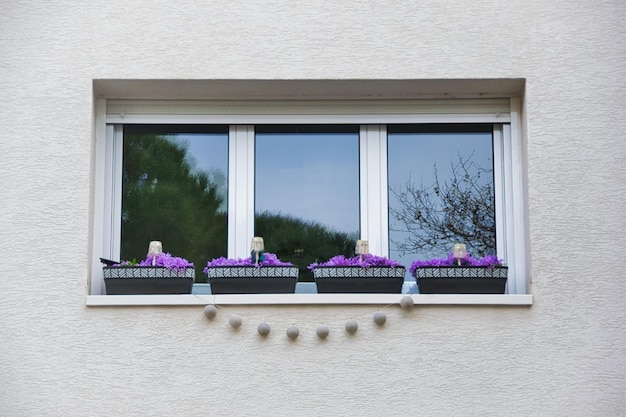 Venster met bloempotten en kransen