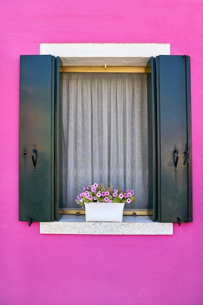 Venster met groene luiken op felroze muur van huizen met roze bloemen. Italië, Venetië, Burano.