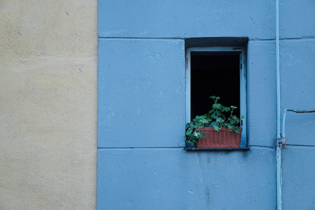 venster op de blauwe de bouwvoorgevel in de straat in de stad Spanje van Bilbao