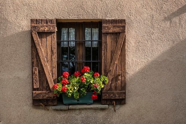 Photo ventana rustica con geranio