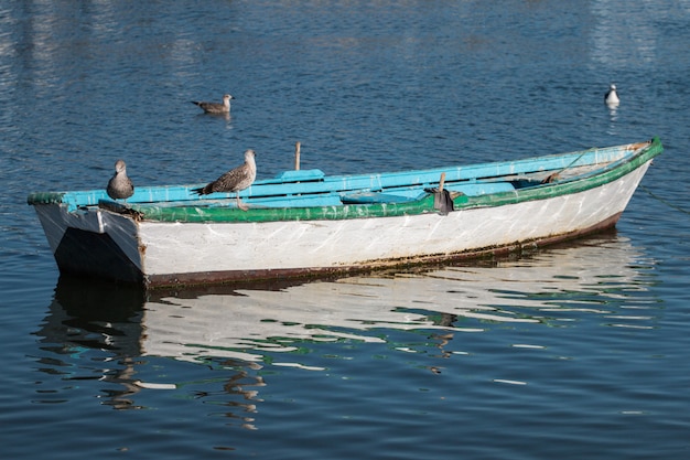 Verankerde boot met zeemeeuwen.