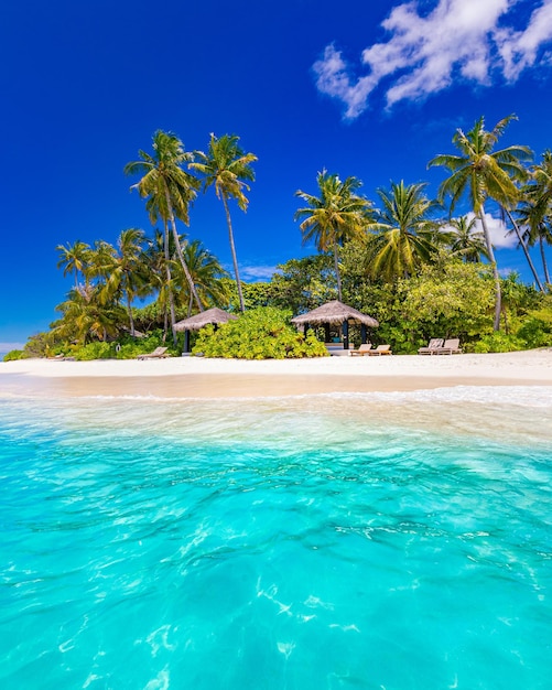 Verbazend aardstrand met de lucht van de palmenlagune. Zomervakantie tropische reizen vakantie achtergrond