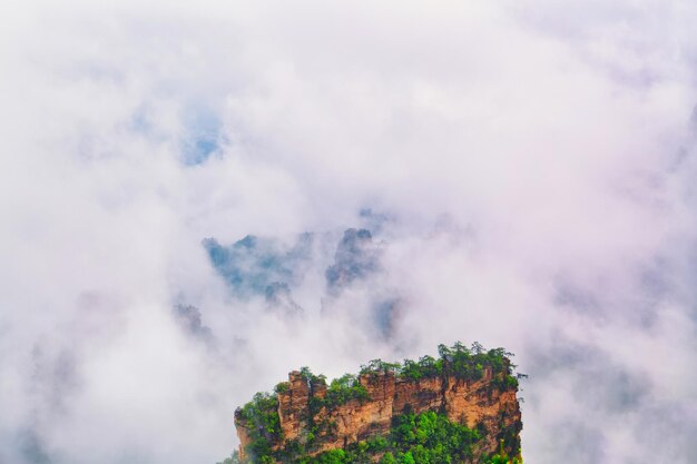 Verbazend natuurlijk landschap met de berg van het steenpijlerkwarts in mist en wolken. Nationaal park Zhangjiajie. Beroemde toeristische attractie in Wulingyuan, Hunan, China.