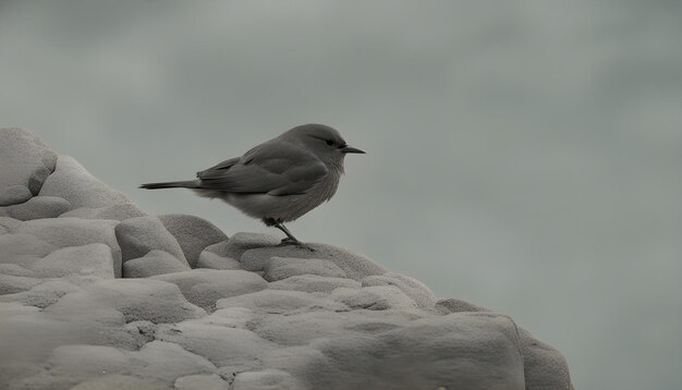 Verbazingwekkend geweldig deze foto neem deze foto voor je werk AI gegenereerd top mooie foto