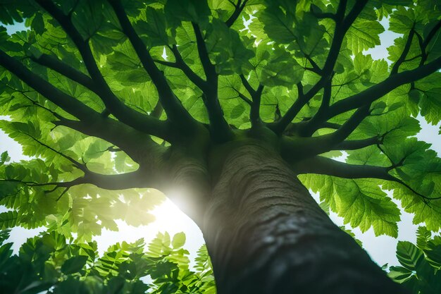 Foto verbazingwekkend geweldig deze foto neem deze foto voor je werk ai gegenereerd top mooie foto