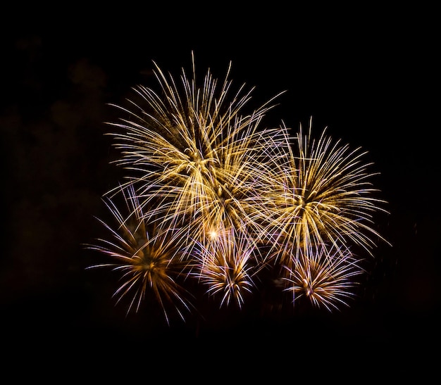 Verbazingwekkend mooi vuurwerk op zwarte achtergrond voor vieringsverjaardag prettige kerstavond en gelukkig nieuwjaar