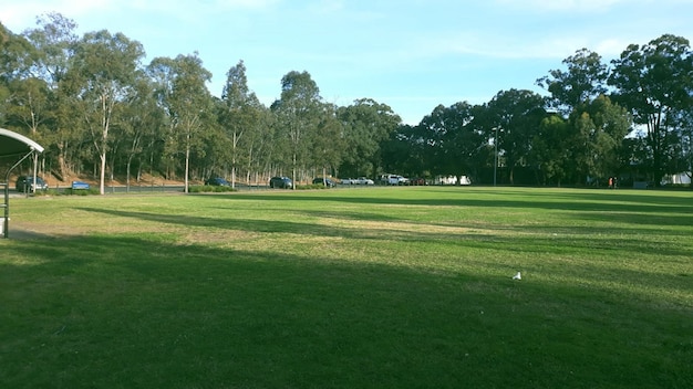 Verbazingwekkend uitzicht op het park