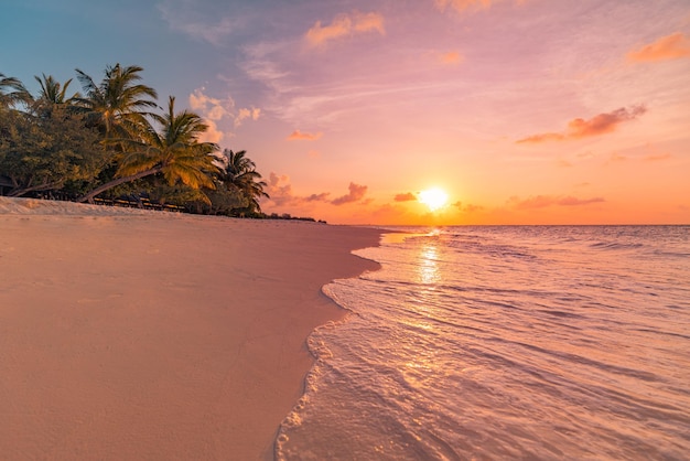 Verbazingwekkende fantasie landsape, droom natuur strand kust, palmbomen silhouet. Close-up golven spatten