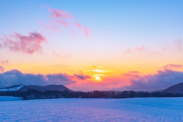 Verbazingwekkende mooie levendige winterzonsondergang in de bergen