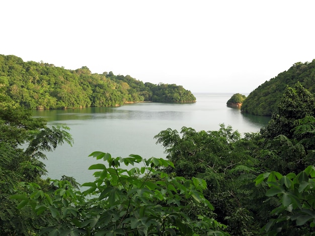 Verbazingwekkende natuur van Lembeh Strait, Indonesië.