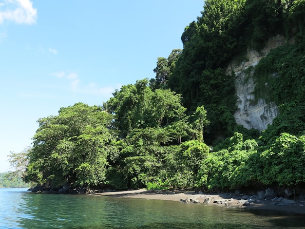 Verbazingwekkende natuur van Lembeh Strait, Indonesië.