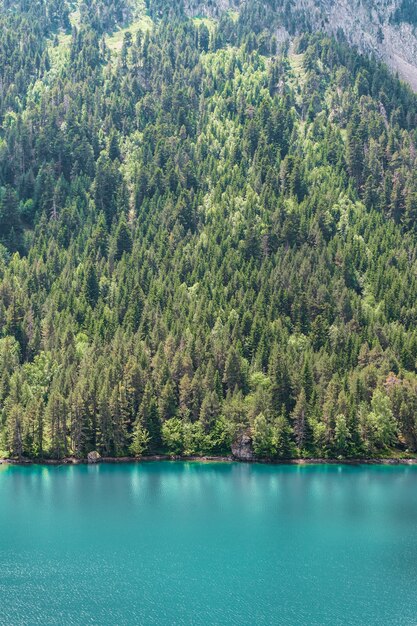 Verbazingwekkende panorama landschap groene weide in de hoge bergen tijdens zonsondergang Schilderachtig uitzicht