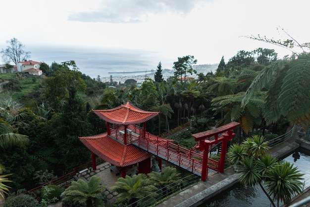 Verbazingwekkende tropische groene tuin Monte met palmbomen en rood Japans tuinhuisje op het eiland Madeira Prachtig uitzicht op de natuur in de buurt van de oceaan