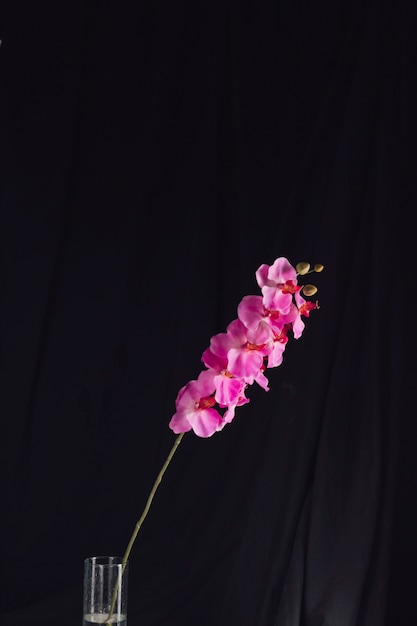 Foto verbazingwekkende verse roze bloemen op tak in vaas