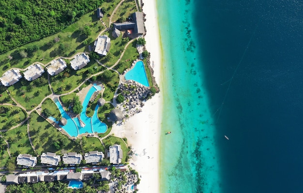 Verbazingwekkende vogel ogen bekijken in Zanzibar