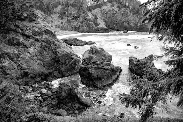 Verborgen baai Pittoreske rotsachtige baai in Oregon VS Zeestapels in zeewater Rotsachtige hellingen bedekt met dennen