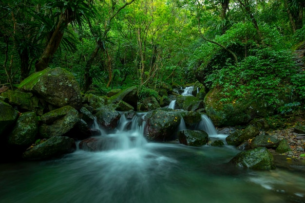 Verdant valleys streams cool clear streams