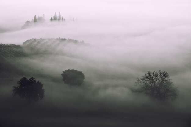 Verdronken in de mist