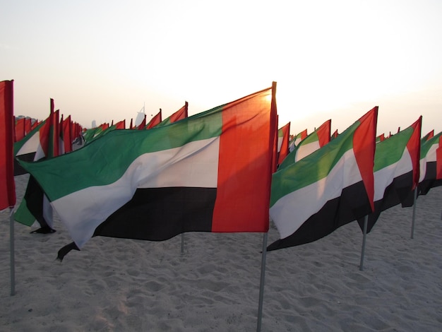 Foto verenigde arabische emiraten vlaggen op zand tegen de lucht