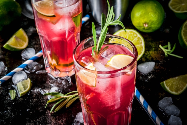 Verfrissing alcoholische rode cranberry en limoencocktail met rozemarijn en ijs, twee glazen