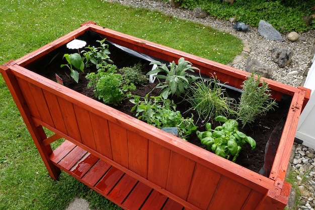 Foto verhoogd bed gevuld met verschillende kruiden in een tuin