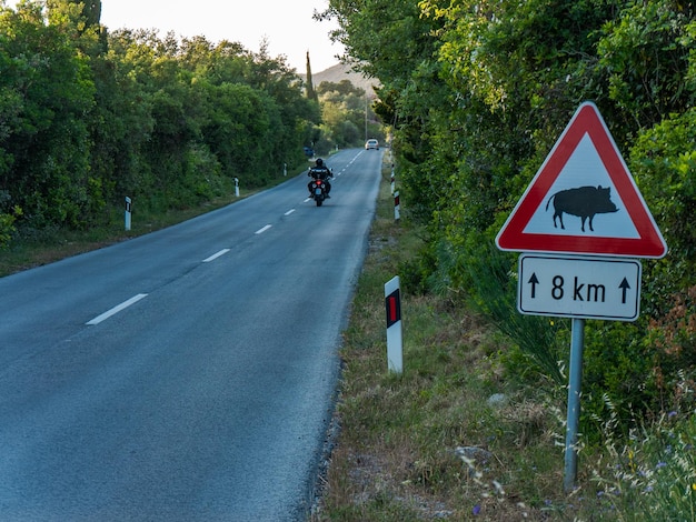 Foto verkeersbord bij bomen aan de kant van de weg