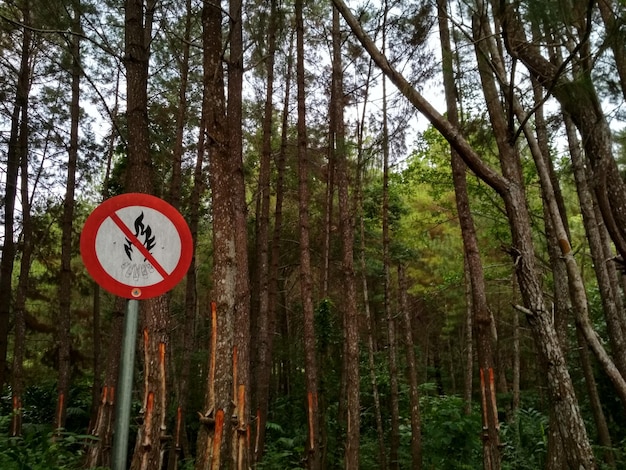 Verkeersbord bij bomen in het bos