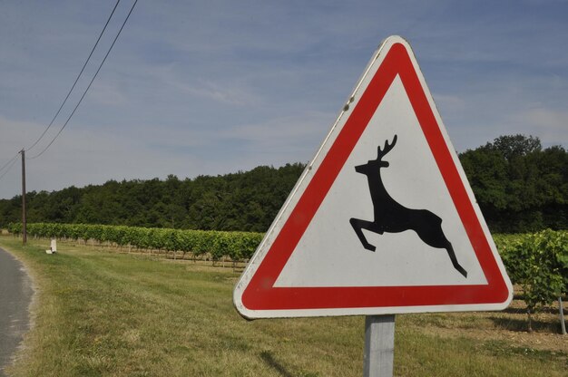 Foto verkeersbord dat wilde dieren aangeeft