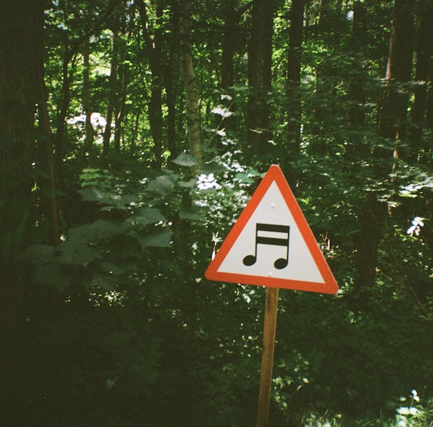 Foto verkeersbord in het bos