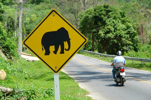 verkeersbord met de olifant in Thailand