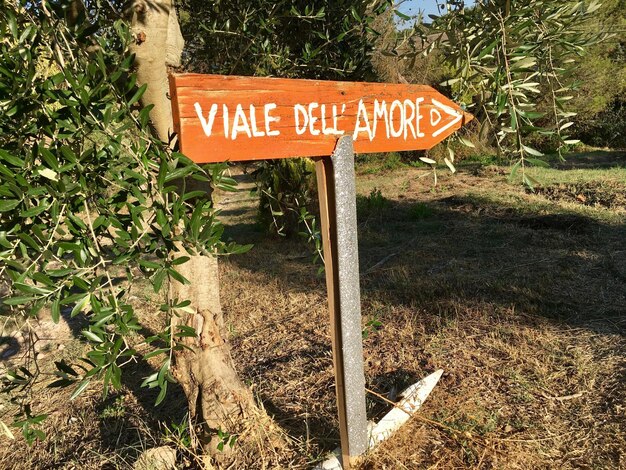 Foto verkeersbord op het veld