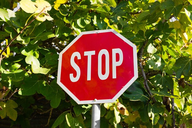 Verkeersbord stop op een groene bladeren achtergrond.