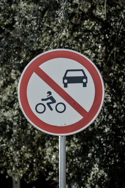 Foto verkeersbord tegen bomen