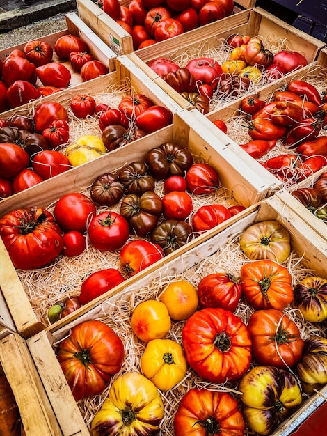 Verkoop tomaten op een marktplaats zomer frankrijk