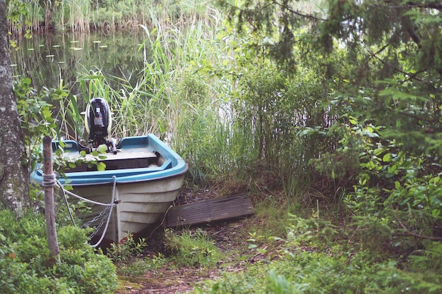 Foto verlaten boot in het bos.