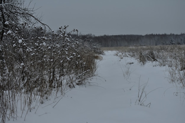 Verlaten dorp in de sneeuw in de winter