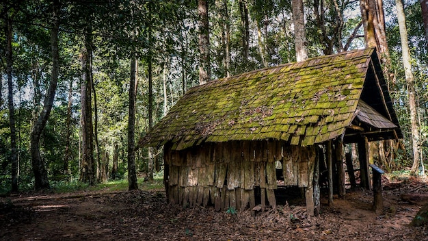 Verlaten gebouw in het bos.