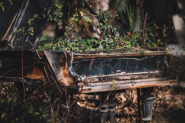 Foto verlaten grote piano in de tuin