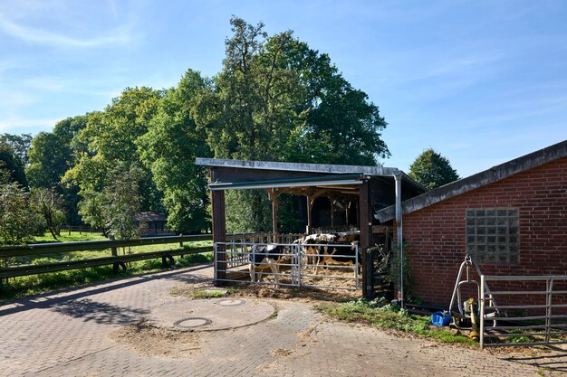 Verlaten huis bij bomen tegen de lucht