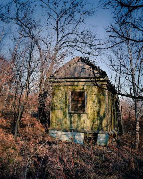 Foto verlaten huis in het bos